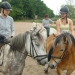 ponyhof_17 ponyhof_17