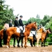 Kirchdorf_Classics-4350_WEB