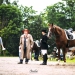 Kirchdorf_Classics-4398_WEB