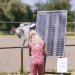 20230617-0005723_Kirchdorf-Classics