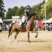 20230617-0005842_Kirchdorf-Classics