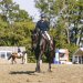 20230618-0005987_Kirchdorf-Classics
