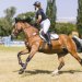 20230618-0006157_Kirchdorf-Classics