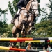 KC_So-0157_WEB