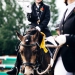KC_So-9860_WEB KC_So-9860_WEB