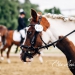KC_So-9866_WEB KC_So-9866_WEB