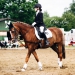 KC_So-9872_WEB KC_So-9872_WEB