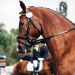 KC_So-9876_WEB KC_So-9876_WEB