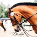 KC_So-9900_WEB KC_So-9900_WEB
