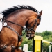 KC_So-9932_WEB KC_So-9932_WEB