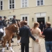 hochzeit_131