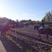dsc00378 dsc00378
