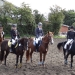 dsc00438 dsc00438