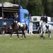 dsc00440 dsc00440