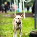 img_5694_l img_5694_l
