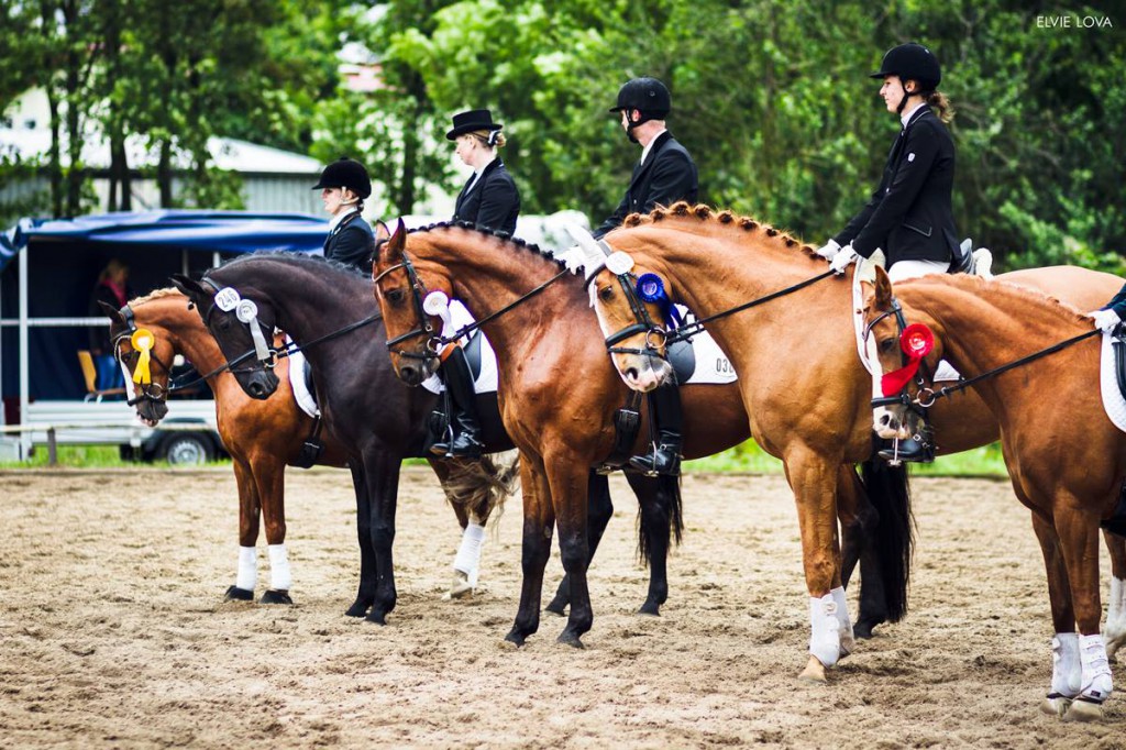 Siegerehrung Dressurviereck