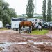 20240601-_0002495_Parkplatz