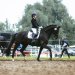 20240601-_0002501Abreiteplatz_Dressur