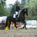 20240601-_0002503Abreiteplatz_Dressur