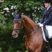 20240601-_0002519_Dressur_M_Trense