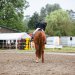 20240601-_0002530_Abreiteplatz_Dressur
