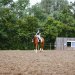 20240601-_0002535_Abreiteplatz_Dressur