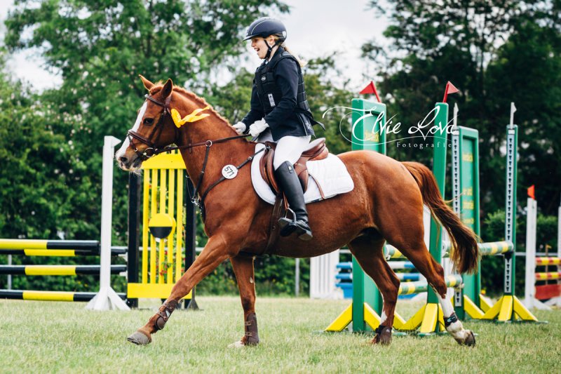 Kleines Reitabzeichen – Reit- und Fahrverein