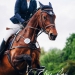 KC_Sa-9339_WEB