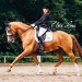 KC_Sa-9420_WEB