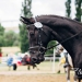 KC_Sa-9584_WEB