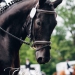 KC_Sa-9586_WEB