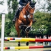 KC_Sa-9601_WEB