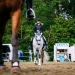 Kirchdorf_Classics-4417_WEB