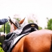Kirchdorf_Classics-4475_WEB