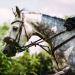Kirchdorf_Classics-4540_WEB