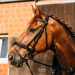 Kirchdorf_Classics-4691_WEB
