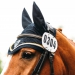 Kirchdorf_Classics-4762_WEB