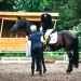 Kirchdorf_Classics-4867_WEB
