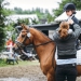 Kirchdorf_Classics-5014_WEB