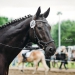 Kirchdorf_Classics-5266_WEB