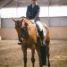 20230617-0005706_Kirchdorf-Classics