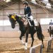 20230617-0005709_Kirchdorf-Classics