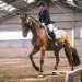 20230617-0005717_Kirchdorf-Classics