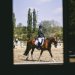 20230617-0005728_Kirchdorf-Classics