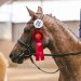 20230617-0005807_Kirchdorf-Classics
