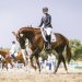 20230617-0005883_Kirchdorf-Classics