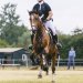 20230617-0005967_Kirchdorf-Classics