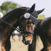 20230618-0005988_Kirchdorf-Classics