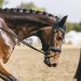20230618-0005989_Kirchdorf-Classics