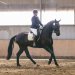 20230618-0006018_Kirchdorf-Classics